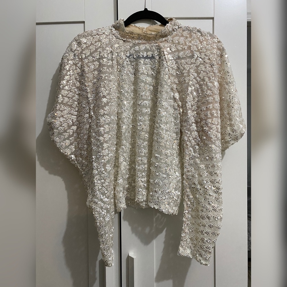 Sequin Puff Sleeve Zara Blouse